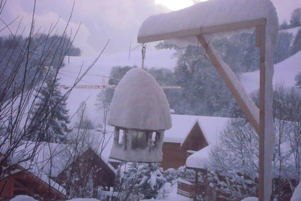 A4 Km De Megeve Tres Joli Studio Avec Jacuzzi ,Vue Sur Les Montagnes Au Calme 프라즈쉬아를리 외부 사진