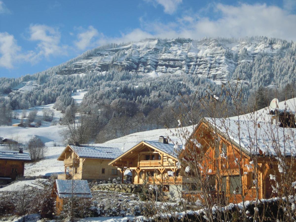 A4 Km De Megeve Tres Joli Studio Avec Jacuzzi ,Vue Sur Les Montagnes Au Calme 프라즈쉬아를리 외부 사진