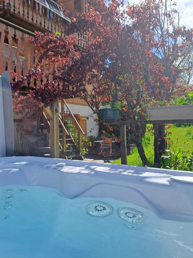 A4 Km De Megeve Tres Joli Studio Avec Jacuzzi ,Vue Sur Les Montagnes Au Calme 프라즈쉬아를리 외부 사진